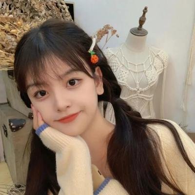 龙拳小子2