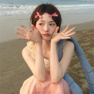 企鹅之岛：福克兰